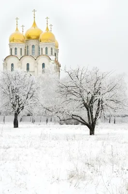 Фото Церкви под снежным одеялом: Изысканный выбор формата