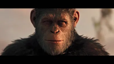 Цезарь планета обезьян: Новые фото высокого разрешения