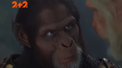 Подробности обезьяньей цивилизации: Цезарь в великолепных фотоснимках