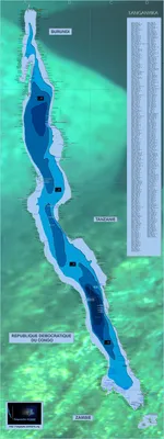 Картинка цихлид озера Танганьика