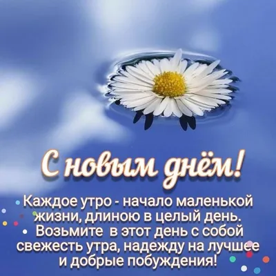 Цитаты дня в картинках: визуальное вдохновение для каждого дня жизни