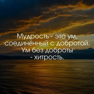 Волшебные кадры заката и пронизывающие цитаты: лучшее отрефлексированное в картинах