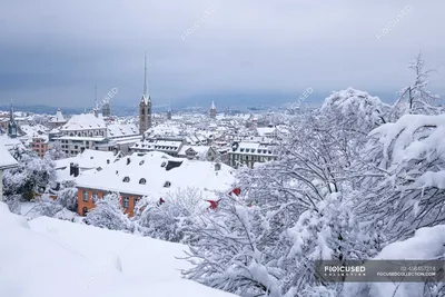 Подлинная зима в Цюрихе: Скачайте красоту в JPG