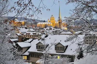 Эмблемы Зимнего Цюриха: Лучшие изображения