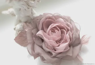 Картина пыльной розы: превосходное изображение природы