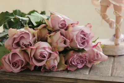 Фото Цвет старая роза - запечатлите моменты с любимыми цветами