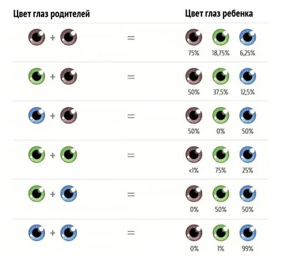 Очарование взгляда: Изображения глаз в различных цветовых оттенках