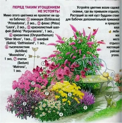 Изображение удивительного цветника с розами: Прекрасное вдохновение для вашего творчества