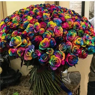 Фотография цветных роз для доступного скачивания