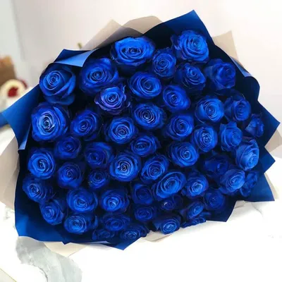 Впечатляющее изображение цветных роз в формате webp