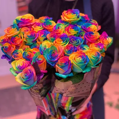 Цветные розы на фото в стиле фотографии