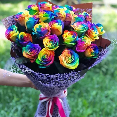 Изумительное изображение цветных роз в png формате