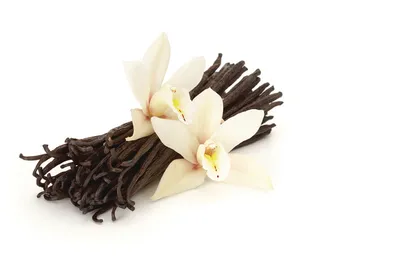 Красивые картинки Цветка ванили для бесплатного скачивания