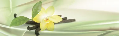 Цветок ванили: релаксация в ванной комнате