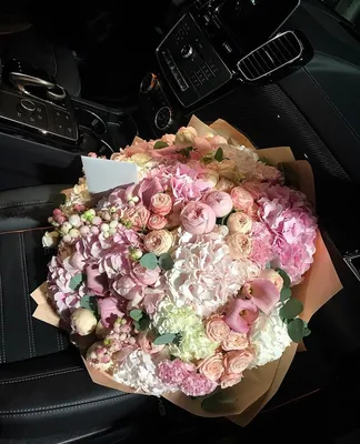 Фото: Цветы, расцветающие в авто после заката