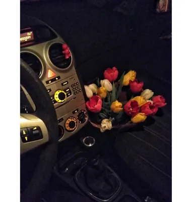 Впечатляющая фотография цветов, освещаемых автомобилем в темноте