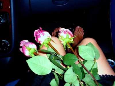 Картинка: Цветы в автомобиле подлунной ночью