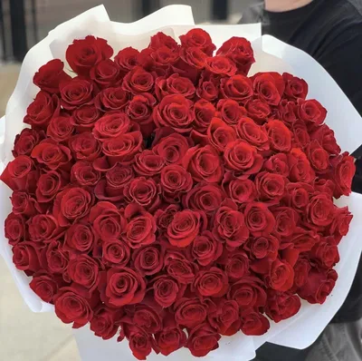 Романтические розы: выбирайте свой формат и размер фото!