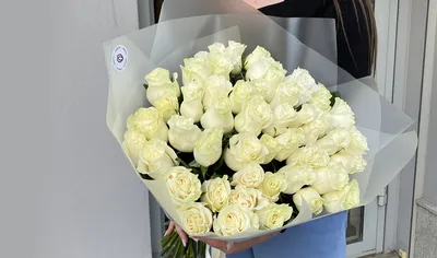 Фотка белых роз: Впечатляющие изображения, которые оставят впечатление