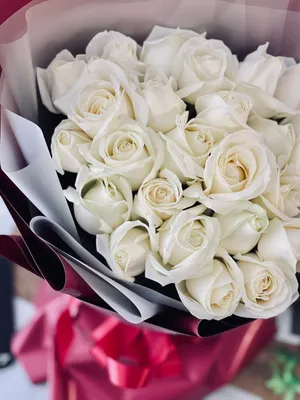 Белые розы: Эффектные фотографии, передающие нежность и романтику
