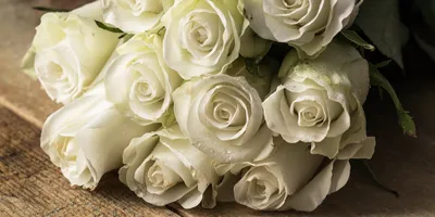 Белые розы: Идеальный выбор для свадебной фотосессии