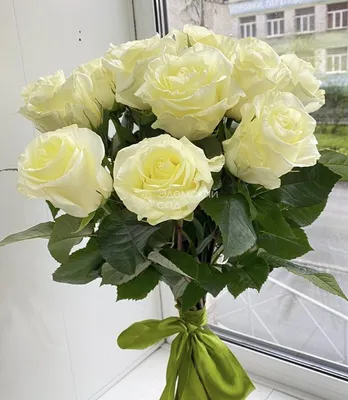 Фотография белых роз: Отражение природной красоты