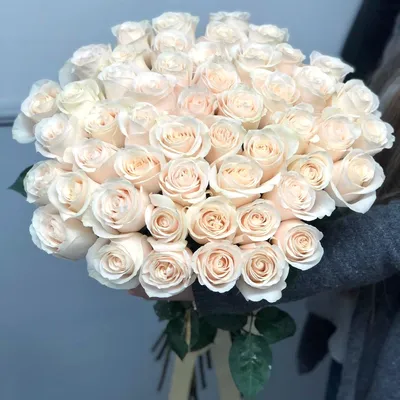 Фотографии цветов: Нежные и роскошные бутоны белых роз