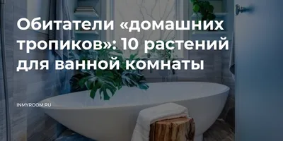 Фотография цветов для ванной комнаты без окон