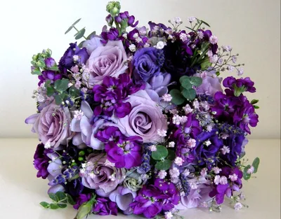 Цветы фиолетового цвета картинки фотографии