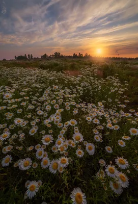 Фотк рассвета: заморозьте момент во времени