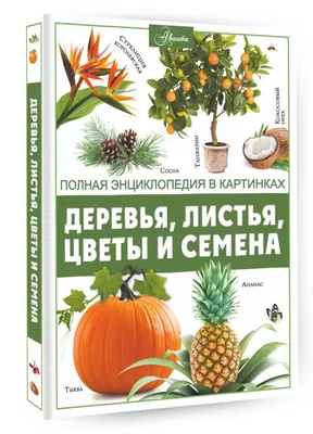 Удивительное зрелище: цветы, распускающиеся под кронами деревьев