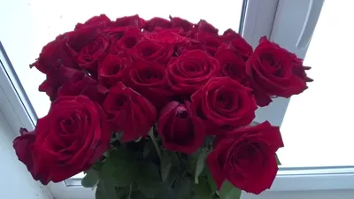 Уникальное фото розы с эффектом дождя