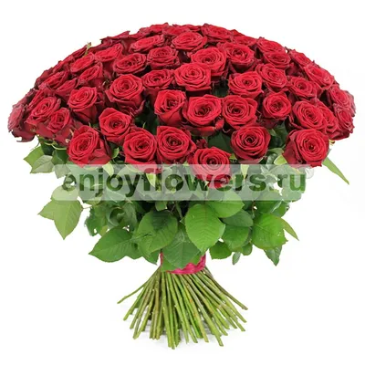 Изображение красных роз: добавьте красоты в свой дизайн