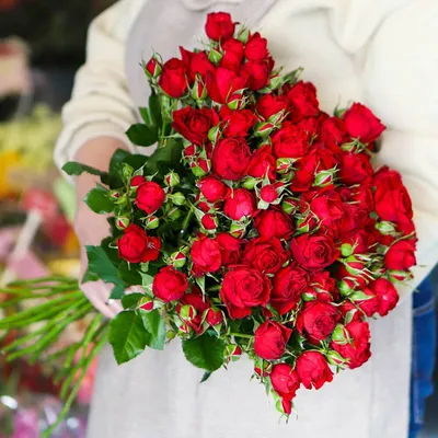 Фотография красивых цветов розы: дарите эмоции и радость