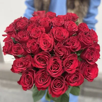 Прекрасные розы в большом разнообразии: выберите свой идеальный вариант