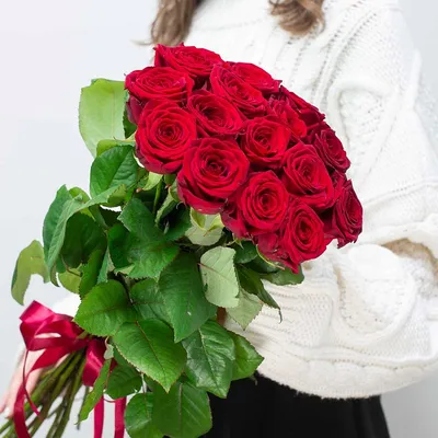 Изображение прекрасных красных роз: добавьте красок в свою жизнь