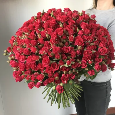 Прекрасные цветы розы кустовые: фото для декора