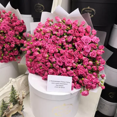 Фото прекрасных роз кустовых в разных размерах