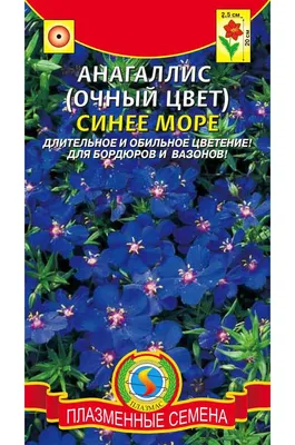 Цветы синее море на фото: Шедевры океанской палитры 