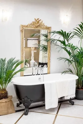 Новые фото цветов в ванной комнате для скачивания
