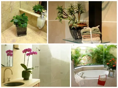 Новые изображения цветов в ванной комнате