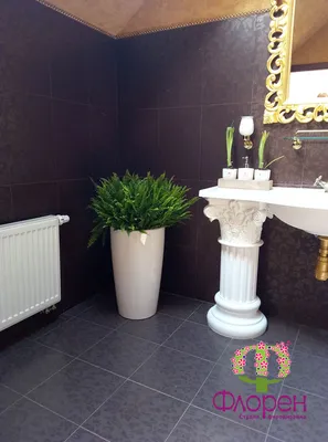 Фото цветов в ванной комнате с эффектом 3D