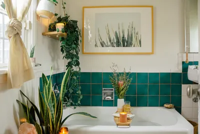 Красивые фотографии цветов в ванной комнате
