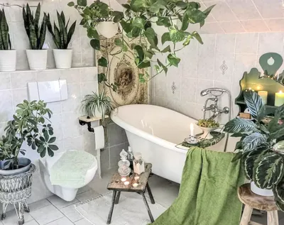 Изображения цветов в ванной комнате в формате JPG