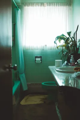 4K фотографии цветов в ванной комнате