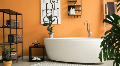 Изображения цветов в ванной комнате в формате PNG