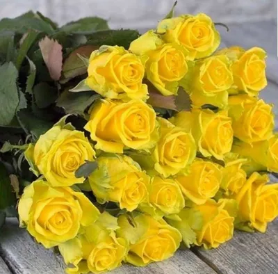 Желтые розы - фото 