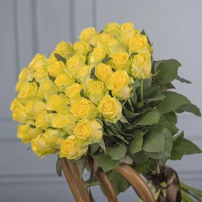 Желтые розы - фото высокого разрешения 