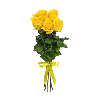 Желтые розы - фото для оформления 