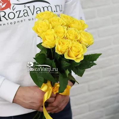 Розы желтого цвета - красивая фотография 